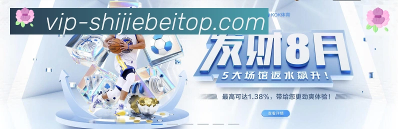 未来规划
